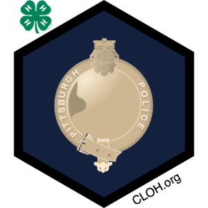 Police_Badge                              